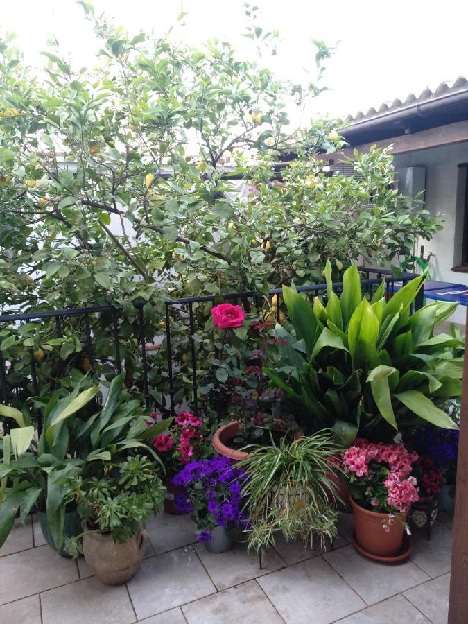 Bed and Breakfast El Patio Andalú Ardales Exterior foto